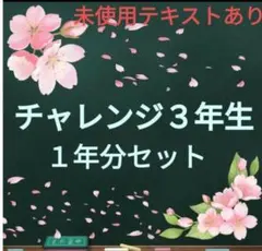 チャレンジ　3年生　ベネッセ　こどもちゃれんじ　知育　学習　本　 ポスター