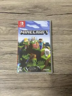 Minecraft Nintendo Switch