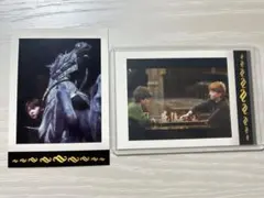 ハリーポッター ぱしゃこれ チェキ ロン ハリー