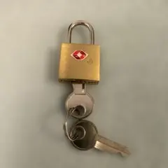 Item thumbnail for item 6268fbba-d00a-436e-b763-7ba65ed6a6ad