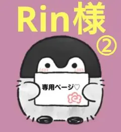 Rin様☆(⁠*⁠´⁠ω⁠｀⁠*⁠)専用でございます②