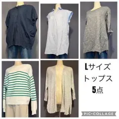 5点 Lサイズ デイリーユース 着回し春夏コーデレディース服まとめ売りコーデ売り