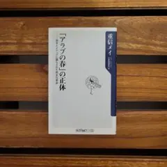「アラブの春」の正体 重信メイ 角川oneテーマ21