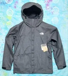 希少【THE NORTH FACE】ノベルティスクープジャケット 限定カラー
