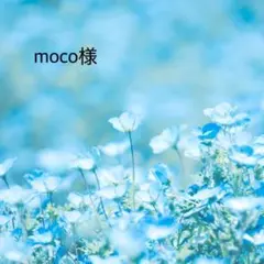 moco様 リクエスト 2点 まとめ商品