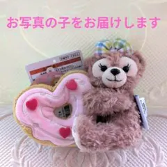 ディズニーシー　フィルドウィズジョイ　シェリーメイ ぬいぐるみバッジ