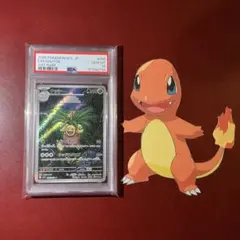 世界13枚】PSA10 アローラナッシー ウルトラシャイニー - メルカリ