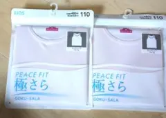 Item thumbnail for item 5af83b0f-847e-4058-be08-77dbcc1cbf52