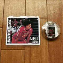 Item thumbnail for item e44df21e-647d-4142-b4e6-b35b8d7239f8