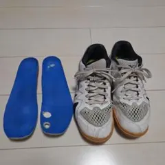 ウェーブメダルRISE　26センチ　ミズノ　シダスインソール付き