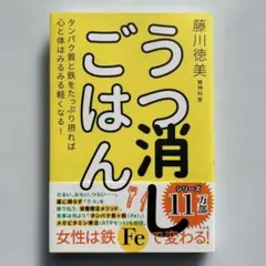 うつ消しごはん