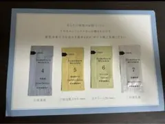 Domohorn Wrinkle トライアルセット 4種