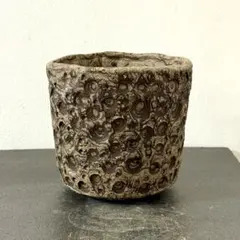 2025年最新】プランツモンスターポットの人気アイテム - メルカリ