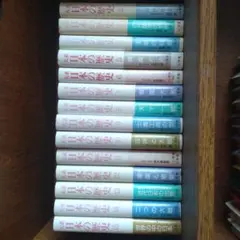 Item thumbnail for item 2ffb06ab-4a47-4a53-b82e-7d432c0908f1