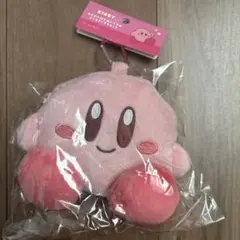 Item thumbnail for item 8b0fd1d0-a847-4b8e-934b-792a18baf4b2