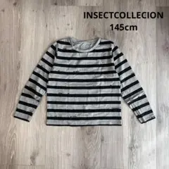 美品！INSECTCOLLECIONありさんストライプ長袖カットソー145cm