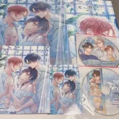 君に惑い、君に溺れる。 わくでき ステラワース CD 小冊子 ブロマイド