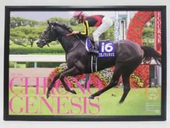 競馬 クロノジェネシス パネル 愛すべきスターホースたち