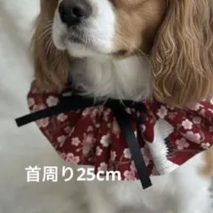 さくらママ様 リクエスト 2点 まとめ商品