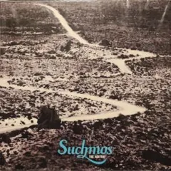 2026年最新】suchmos レコード ashtrayの人気アイテム - メルカリ