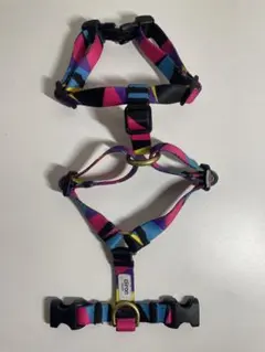 Item thumbnail for item 2d2e6387-d902-4aaf-b224-72f87ffcc398