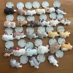 即日発送】全32種／つぶらな瞳の犬と猫 すこてぃっしゅふぉーるど 