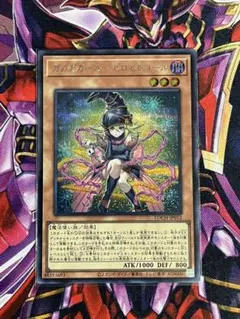 遊戯王　ガガガガール　ゼロゼロコール　シークレット