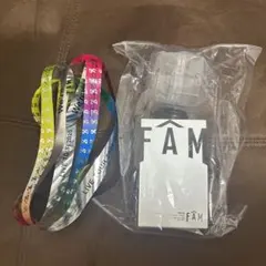 ペンライト 銀テープ付We're timeless TOUR 静岡　オーラス