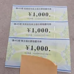 ビックカメラ株主様お買物優待券　3000円分