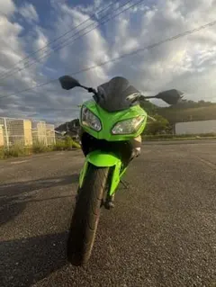 Kawasaki Ninja EX250L ライムグリーンのサムネイル