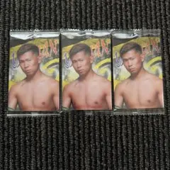 RIZIN ウエハース '24 No.32 YA-MAN