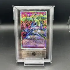 XYドラゴンキャノン 遊戯王 ARS10 psa10 鑑定品 プリズマ - メルカリ