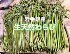 秋田県産 天然みず 山菜ミズ ウワバミソウ 注文ページ 採れたて - メルカリ
