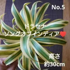 まりぁ@プロフ必読様 リクエスト 2点 まとめ商品