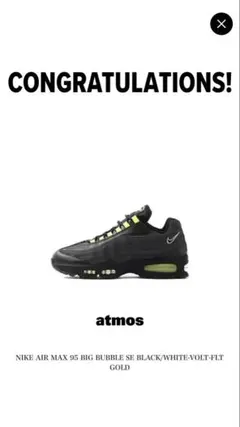 NIKE AIR MAX 95 BIG BUBBLE SE HRJK 29cm