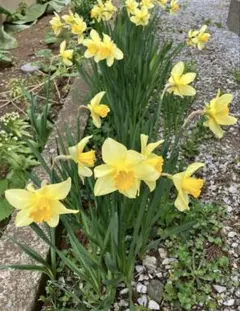 マサ様 リクエスト 3点 まとめ商品