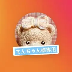 てんちゃん様専用