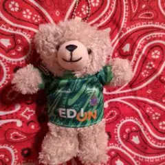 サンフレッチェクマ キーホルダー 緑色ジャージ大迫敬介