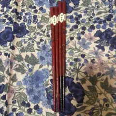 鎌倉彫　二膳　箸箱　アンティーク　骨董品　工芸品 鎌倉彫の夫婦箸 特選本塗 鶴 | 鎌倉彫陽雅堂 公式オンライン