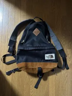 【激レア】 THE NORTH FACE パープルレーベル バックパック 大容量