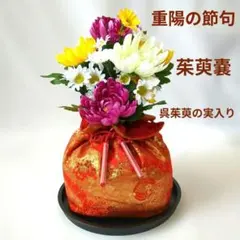 9月9日　重陽の節句　呉茱萸　茱萸嚢　しゅゆのう　不老長寿　邪気払い　茶道 9月9日 重陽の節句 呉茱萸 茱萸嚢 しゅゆのう 不老長寿 邪気払い 茶道
