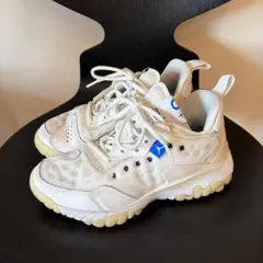 JORDAN DELTA2 ジョーダン デルタ2 /23.5cmのサムネイル