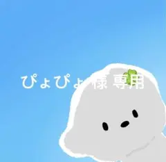 ぴょぴょ 様 専用