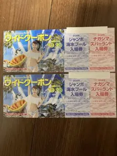ナガシマリゾート ワイドクーポン 2026年有効 2セットのサムネイル