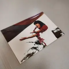 河合奈保子写真（２Ｌ判）