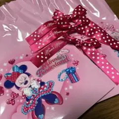 ディズニーパルパルーザ　ミニーのファンダーランド　ミニー　ゴムリボン3点セット