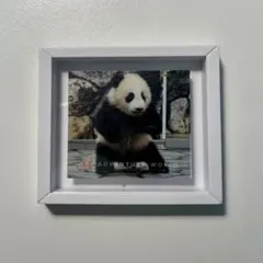 Item thumbnail for item d7198b8d-264d-4f6e-b782-3c9fbd54c95c