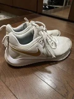 バレーボールシューズ ナイキ