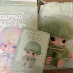 Journal of New Life Strangeness