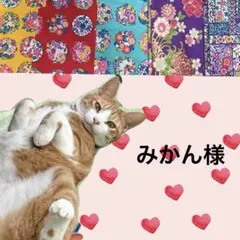 みかん様 リクエスト 10点 まとめ商品